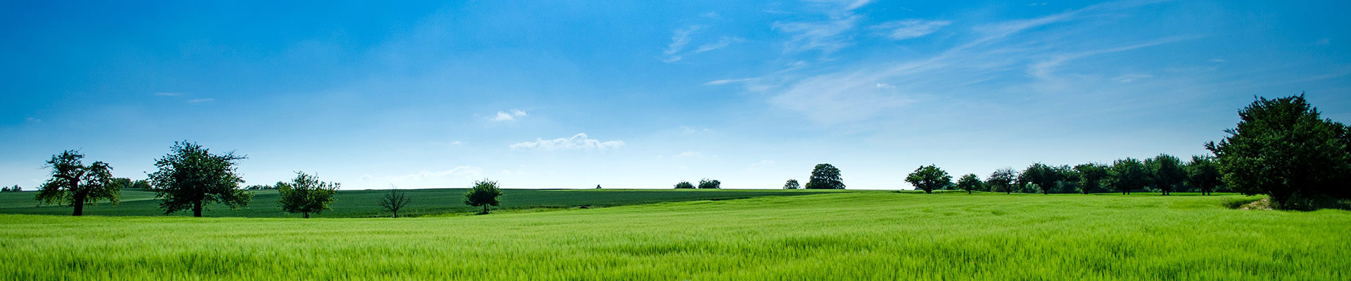 創(chuàng)優(yōu)質(zhì)品牌，鑄一流形象