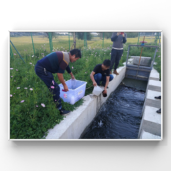 微信圖片_20190930122229.jpg 微信圖片_20190930122229.jpg